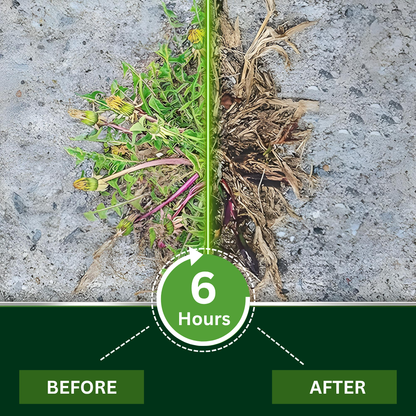 AEXZR® 2 in 1 Max Power Herbicide⚡⚡The Dual-Action Powerhouse: Kills Weeds in 6 Hours, Defeats Glyphosate Resistance For Good.