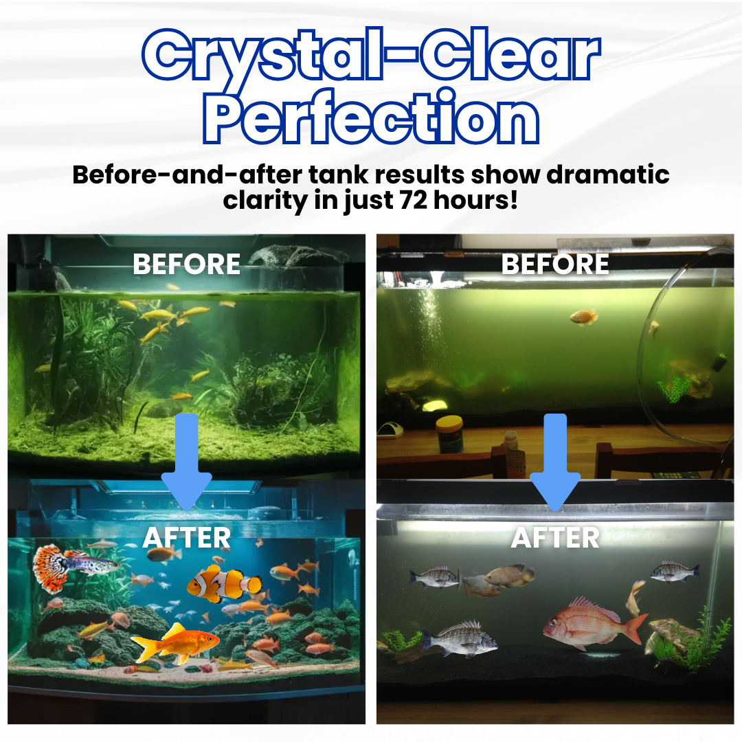 ZAVELY™ Max-Power Aquarium Purification Tablet