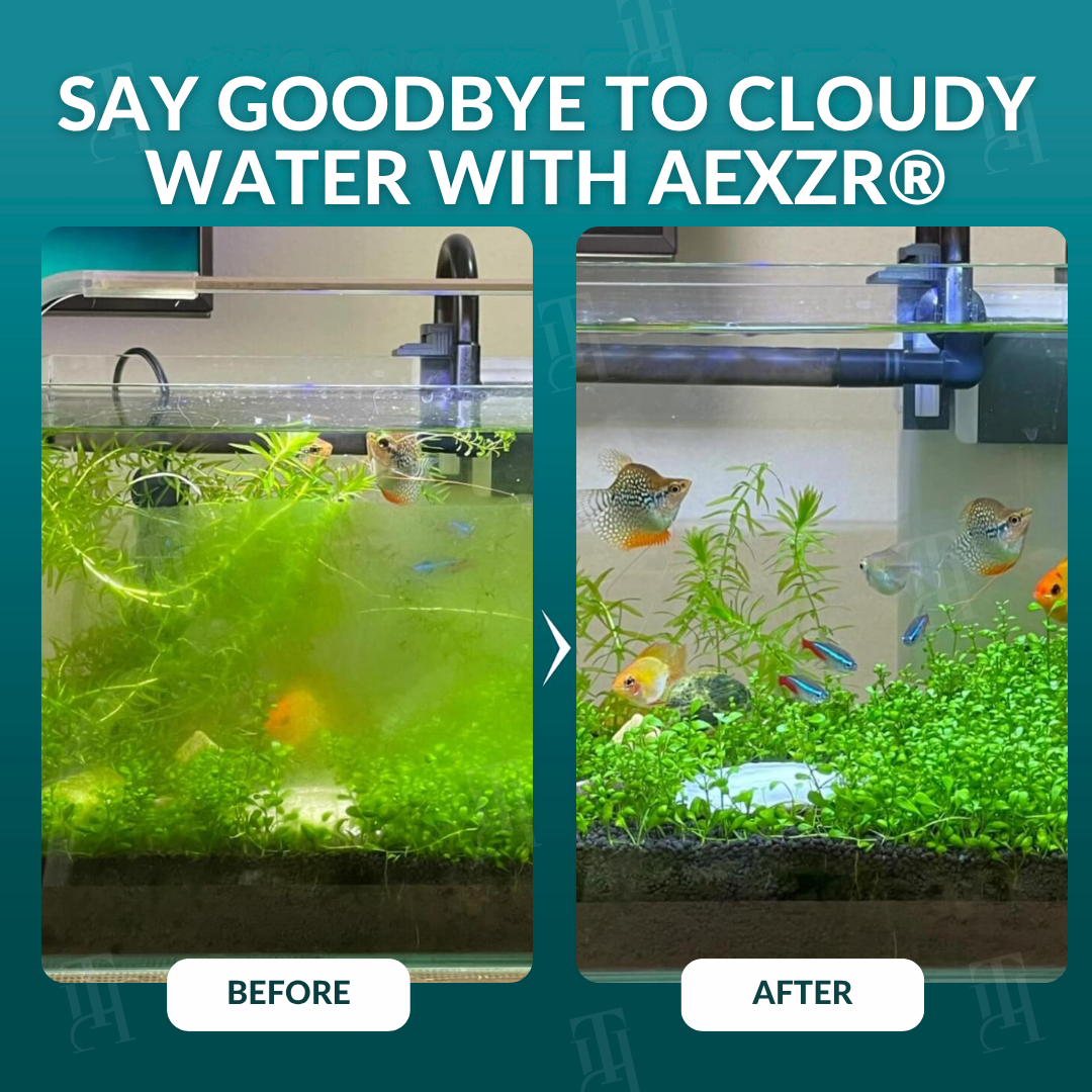 AEXZR® Aquariums Aqua-Guardian Blend🐟 The cleanest water your fish have ever lived in.