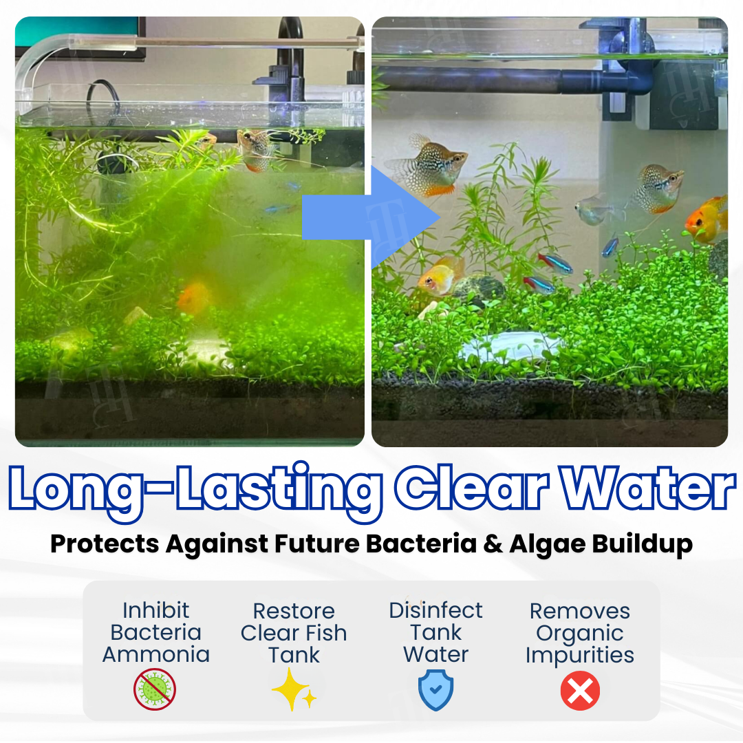 ZAVELY™ Max-Power Aquarium Purification Tablet